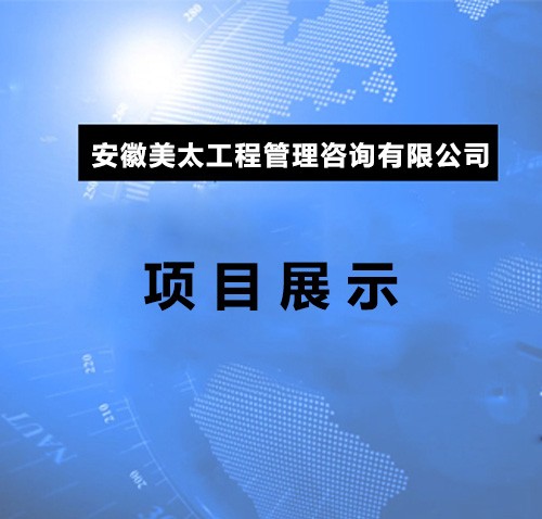 项目展示